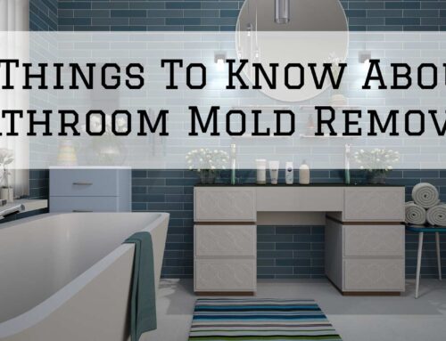 5 Things To Know About Bathroom Mold Removal in McLean, VA