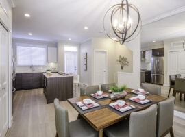 Modern Livingroom in Fairfax VA