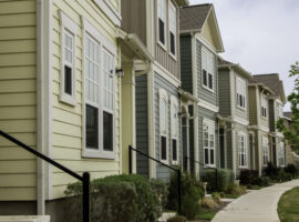 Leesburg VA Town Homes Trim Painting Leesburg VA Town Homes Trim Painting