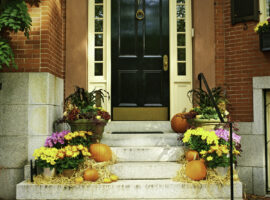 Halloween Colors Halloween Colors