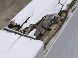 Rotten Wood Railing Rotten Wood Railing
